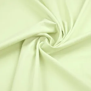 Baby Green Ribbed Fabric 98154