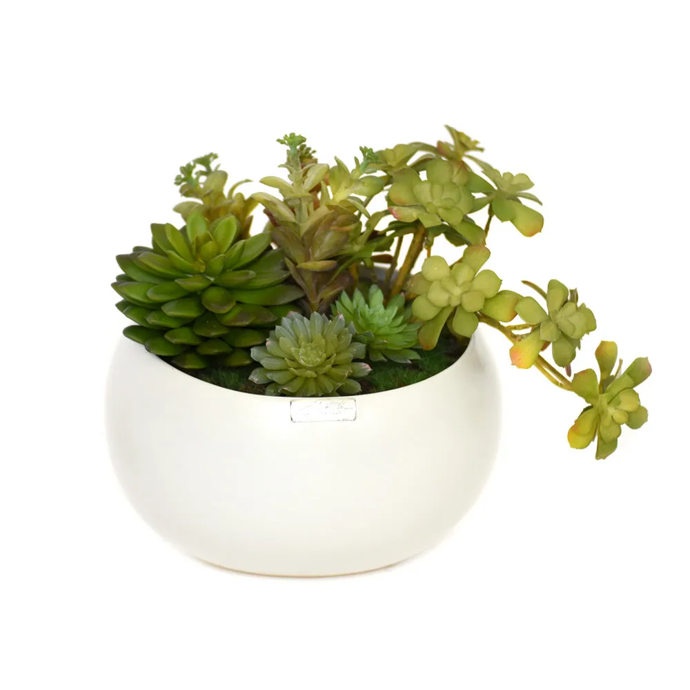 White Ceramic Succulent Garden • 2 sizes